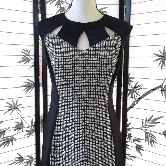 Enfocus Studio Black White Cap Sleeve Sheath Dress - Picture 7 of 12
